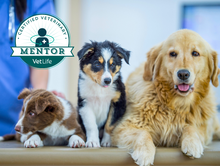 Veterinary Mentorship Certified Location